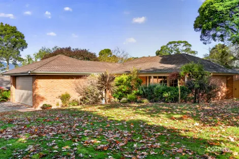 Property photo of 6/36-38 Hull Road Croydon VIC 3136