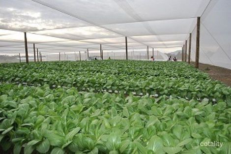 15 Caswells Lane, Mutdapilly, QLD 4307