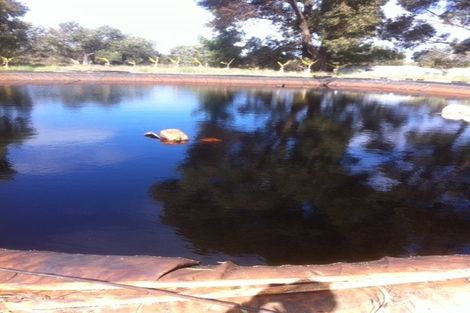 Property photo of 454 Tangletoe Road Muckenburra WA 6503