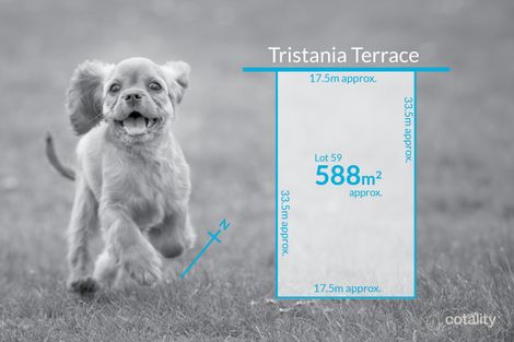 45 Tristania Tce, Dernancourt, SA 5075