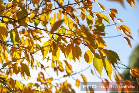 Property photo of 130 Wilsons Road Haddon VIC 3351