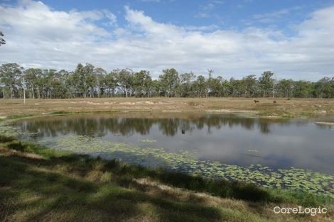 Property photo of 1042 Lowmead Road Colosseum QLD 4677