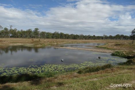 Property photo of 1042 Lowmead Road Colosseum QLD 4677