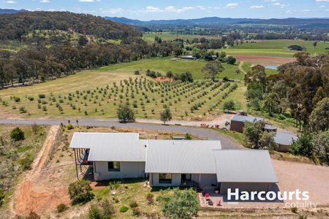 5948 Mansfield-Whitfield Rd, Whitfield, VIC 3733