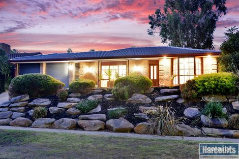 53 Fairlie Dr, Flagstaff Hill, SA 5159