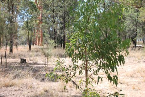 Property photo of 41 Gledsons Road Inglewood QLD 4387