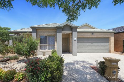 Property photo of 5 Blairgowrie Drive Craigieburn VIC 3064