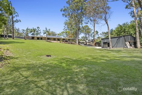 Property photo of 53 Birdlife Court Nerang QLD 4211