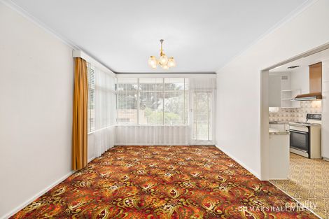 Property photo of 13 Ellendale Street Balwyn North VIC 3104