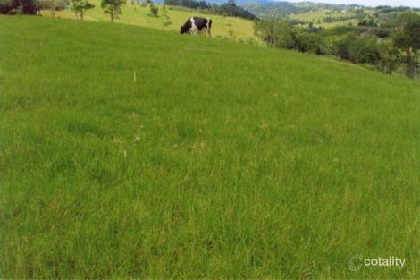 Property photo of 15 Macadamia Drive Maleny QLD 4552