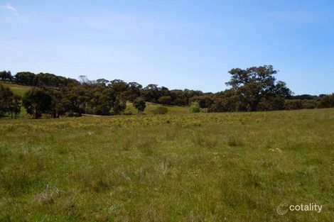 Property photo of 35 Woodacres Road Bellbrae VIC 3228