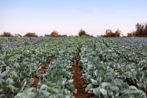 Property photo of 111 Oates Road Kangaroo Flat SA 5118