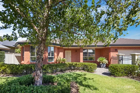 Property photo of 20 McGilp Avenue Glengowrie SA 5044
