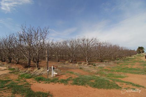 45 Dunstone Rd, Barmera, SA 5345