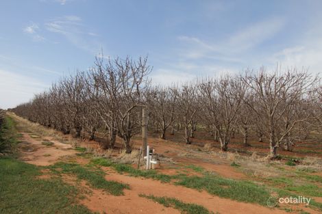 Property photo of 45 Dunstone Road Barmera SA 5345