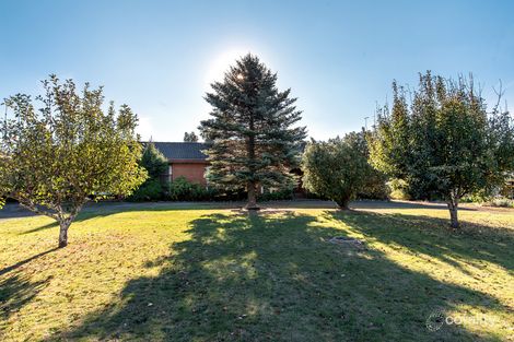 Property photo of 383 Gray Street Hamilton VIC 3300