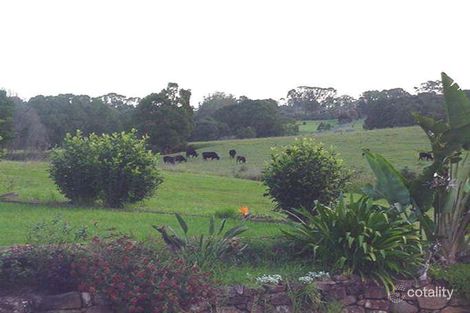 Property photo of 28 Tristania Street Bangalow NSW 2479