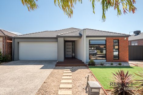 18 Wattle Tree Dr, Point Cook, VIC 3030
