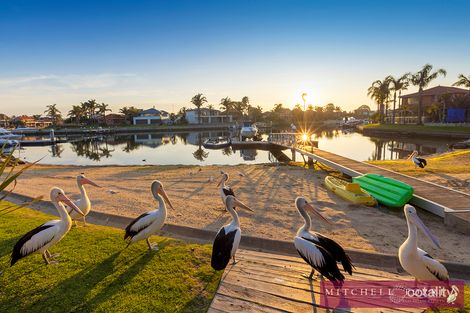 Property photo of 32 Snapper Point Drive Patterson Lakes VIC 3197