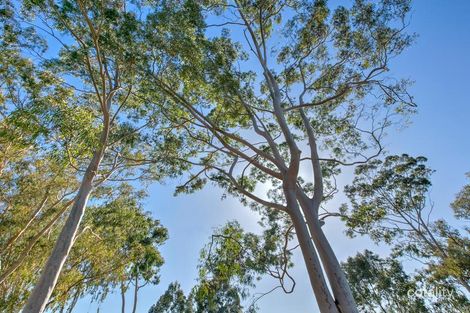 Property photo of 207 Grapestone Road Piara Waters WA 6112