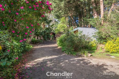 38 Sophia Gr, Tecoma, VIC 3160