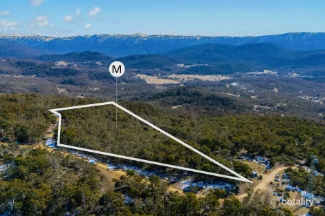 519 Wollondibby Rd, Moonbah, NSW 2627