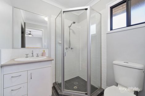 Property photo of 3 Hazelnut Court Loganlea QLD 4131