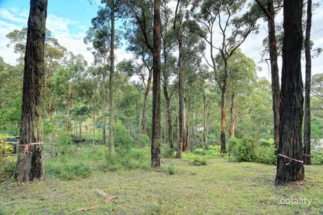 Property photo of 53 Mountain Road Cockatoo VIC 3781