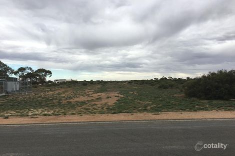 81 Centenary Rd, Morgan, SA 5320