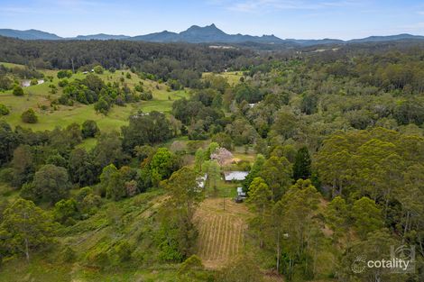 Property photo of 3808 Kyogle Road Mount Burrell NSW 2484