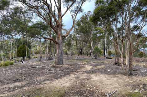 469 Glen Dhu Rd, Molesworth, TAS 7140