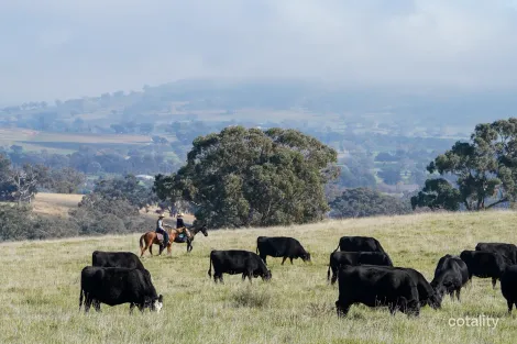 60 Bunyarra Lane, Boree, NSW 2800