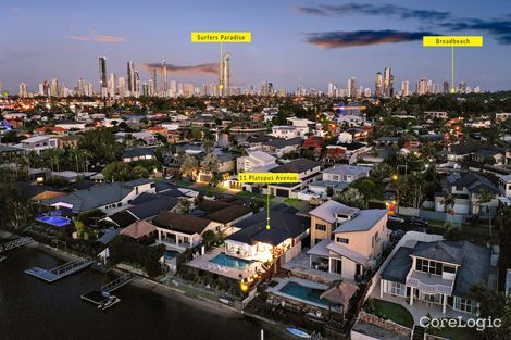 Property photo of 11 Platypus Avenue Bundall QLD 4217