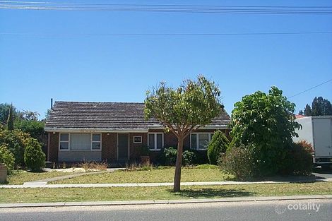 31 Tuart St, Yokine, WA 6060