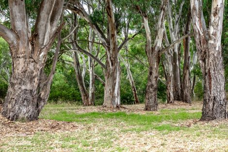 Property photo of 30 Fresian Drive Strathalbyn SA 5255