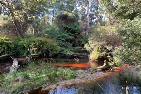 306 Coopers Rd, Rocky Cape, TAS 7321