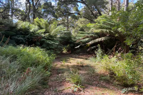 Property photo of 306 Coopers Road Rocky Cape TAS 7321
