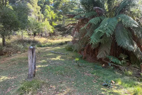 Property photo of 306 Coopers Road Rocky Cape TAS 7321
