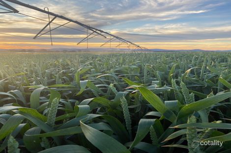 383 Troys Rd, Waubra, VIC 3352