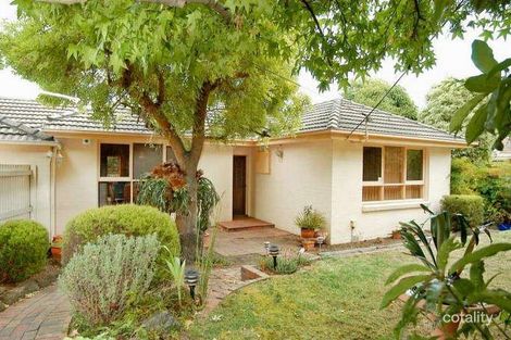 Property photo of 6 Wingate Avenue Mount Waverley VIC 3149