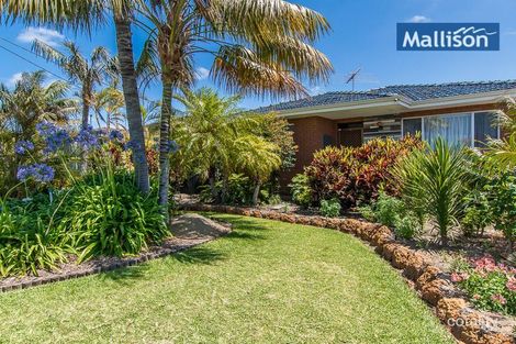 45 Guelfi Rd, Balcatta, WA 6021