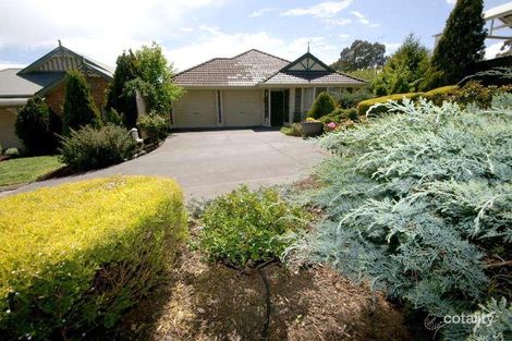 Property photo of 13 Angove Park Drive Tea Tree Gully SA 5091