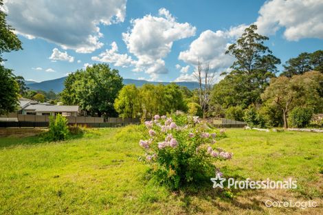 Property photo of 15 Hoddle Street Yarra Junction VIC 3797