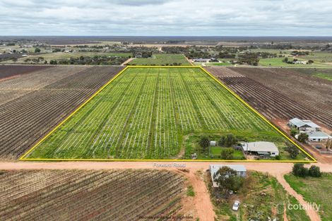 65 Forward Ave, Loveday, SA 5345