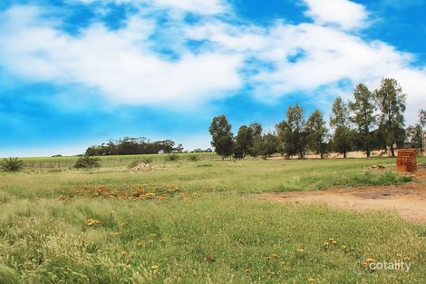 Property photo of 87 Trenerry Avenue Loxton SA 5333