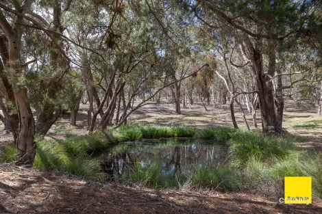 Property photo of 14 Bankers Road Bywong NSW 2621