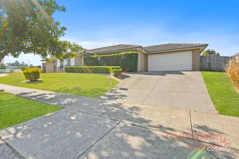 62 Darcys Cct, Gillieston Heights, NSW 2321