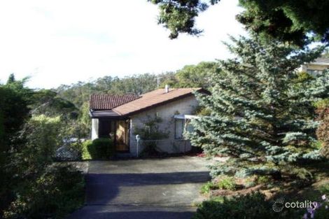 8 Kingsley Ave, Sandy Bay, TAS 7005