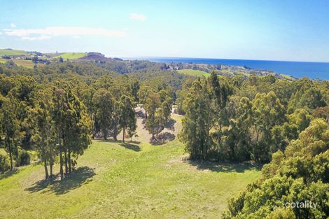 228 Ironcliffe Rd, Penguin, TAS 7316