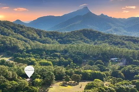 240 Rowlands Creek Rd, Uki, NSW 2484